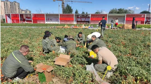 {1370166c-dea4-42e5-80c3-8afbc73d65be}